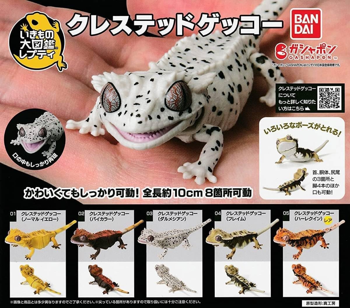 Amazon | いきもの大図鑑レプティ クレステッドゲッコー 全5種 レア